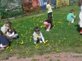 20170413_103915