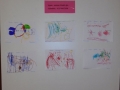 DSC00969